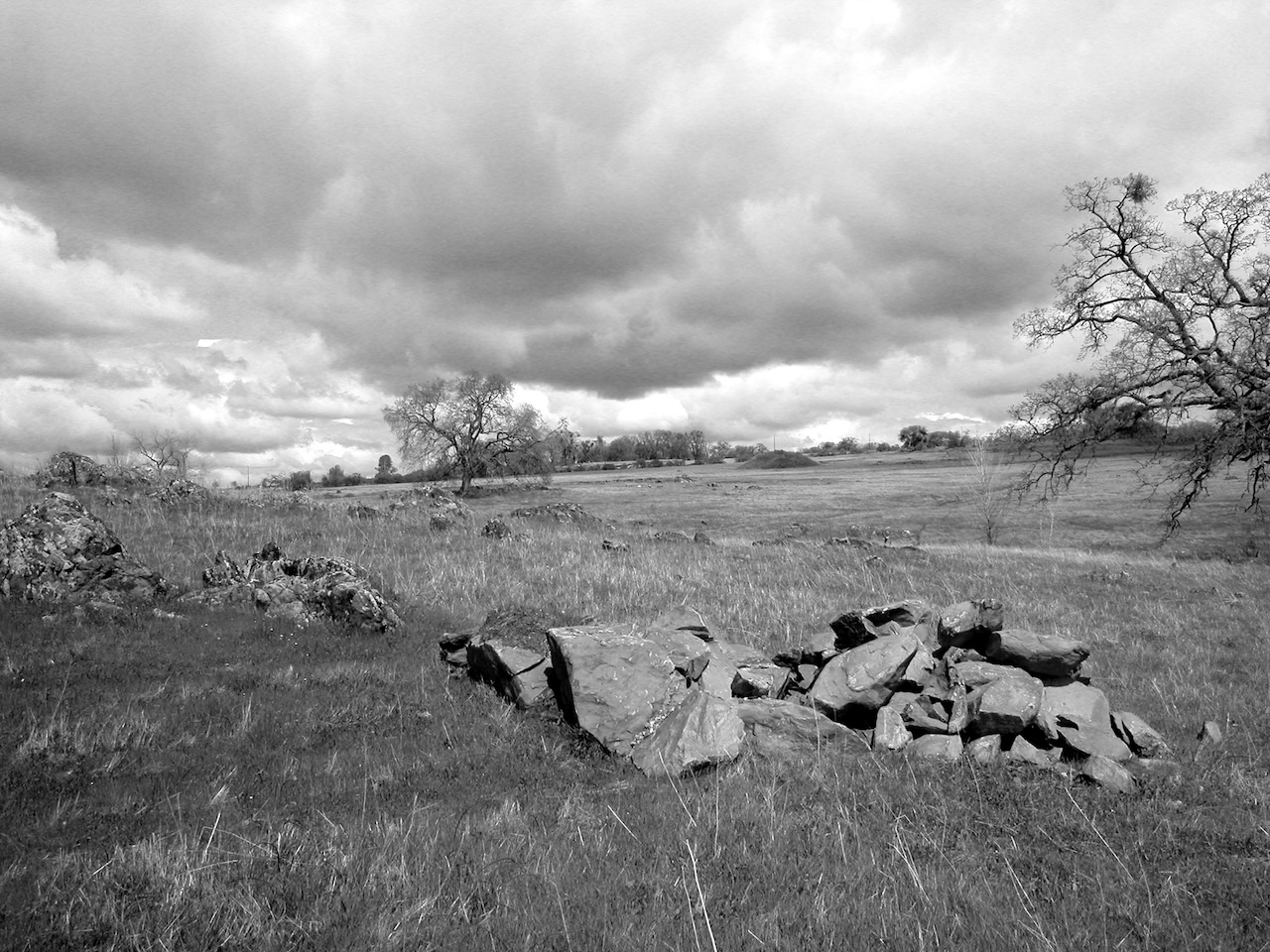 Serpentine rocks (2003, by the creators)