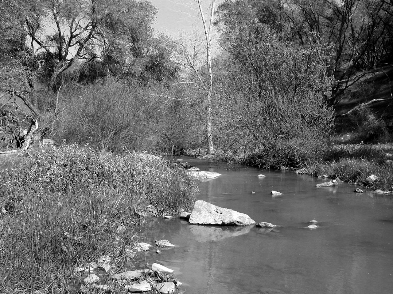 Carson Creek (2003, by the creators)