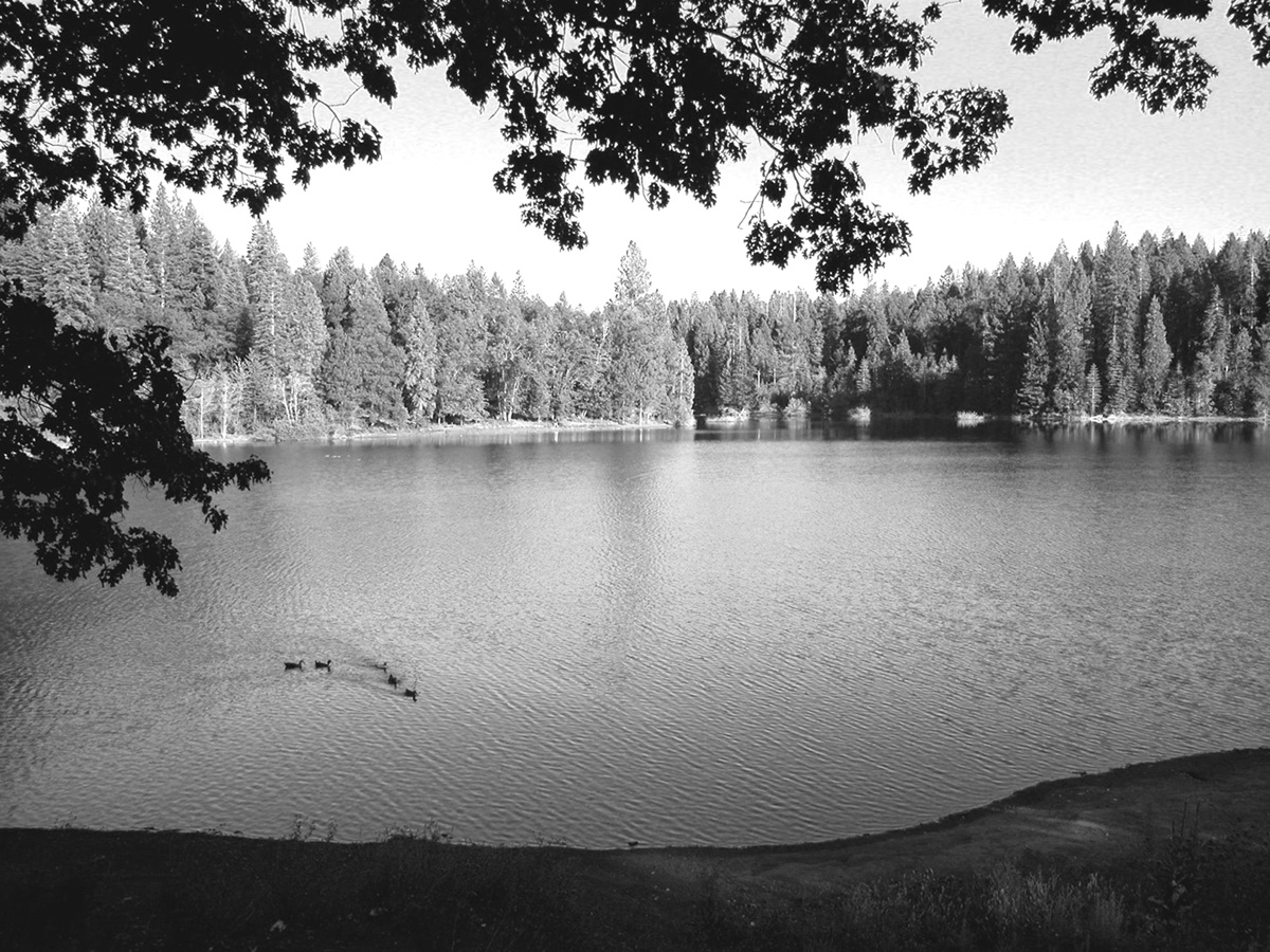 Forebay (2003, by creators)