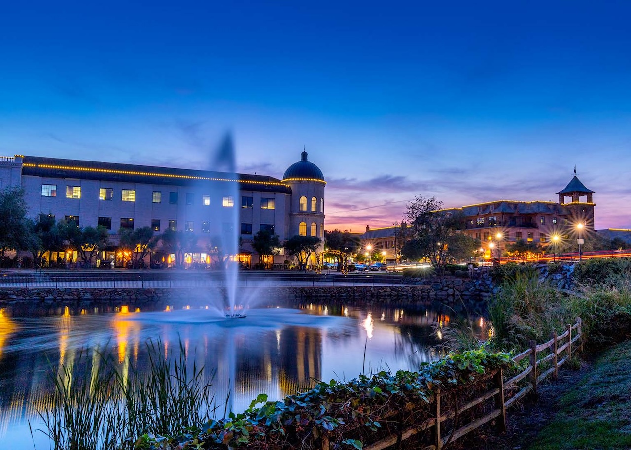 Town Center wetland in the evening (2025, courtesy of Perplexity)