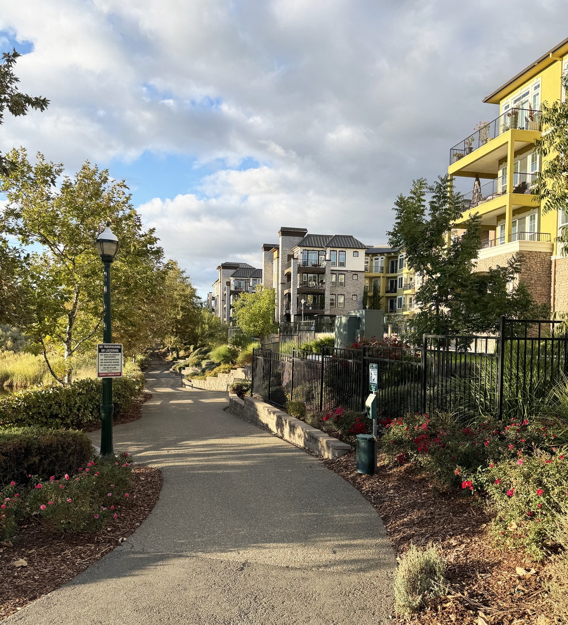 Town Center wetland pathway (2025, by the creators)