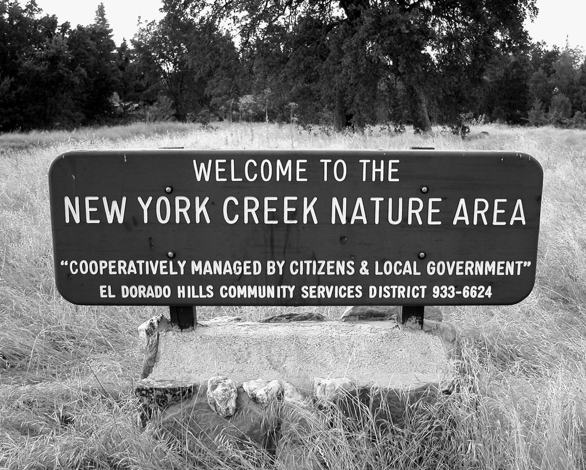 New York Creek Nature Area (2003, by the creators)