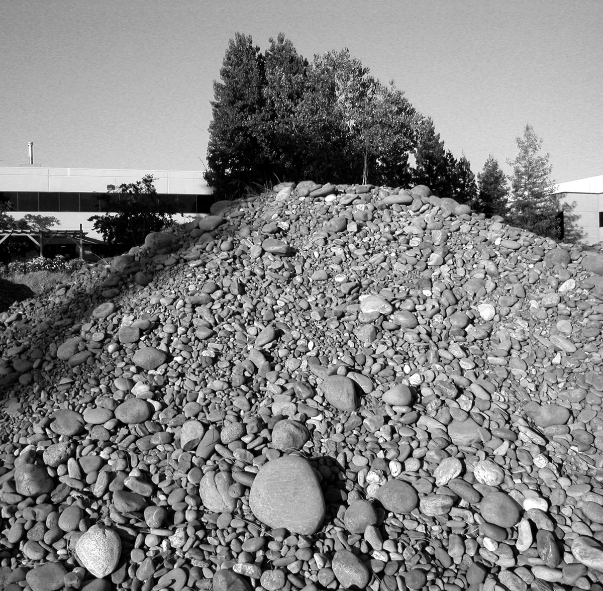 Cobbles produced by dredging along the American River (2003, by the creators)